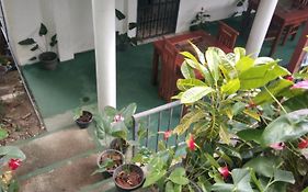 Ella Nature Breeze